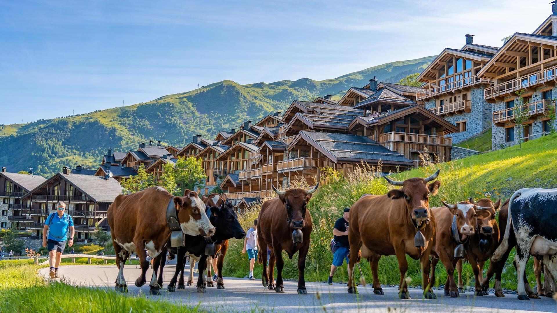 Montée en alpage de Chez Pépé Nicolas